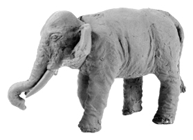 ANC20218 - Indian Elephant (Bare) - Click Image to Close